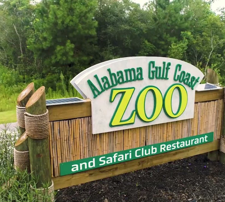 alabama-gulf-coast-zoo-photo